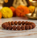 7 Mukhi Rudraksha Bracelet
